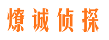 颍泉市调查公司